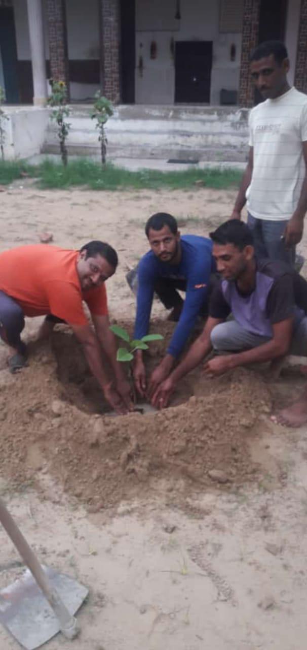 🌿 MMMF Tree Plantation Drive – 13-11-2024 🌍