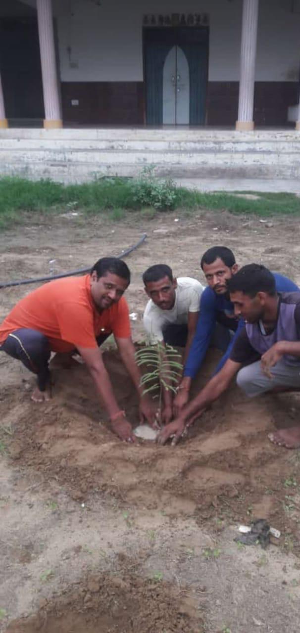 🌿 MMMF Tree Plantation Drive – 13-11-2024 🌍