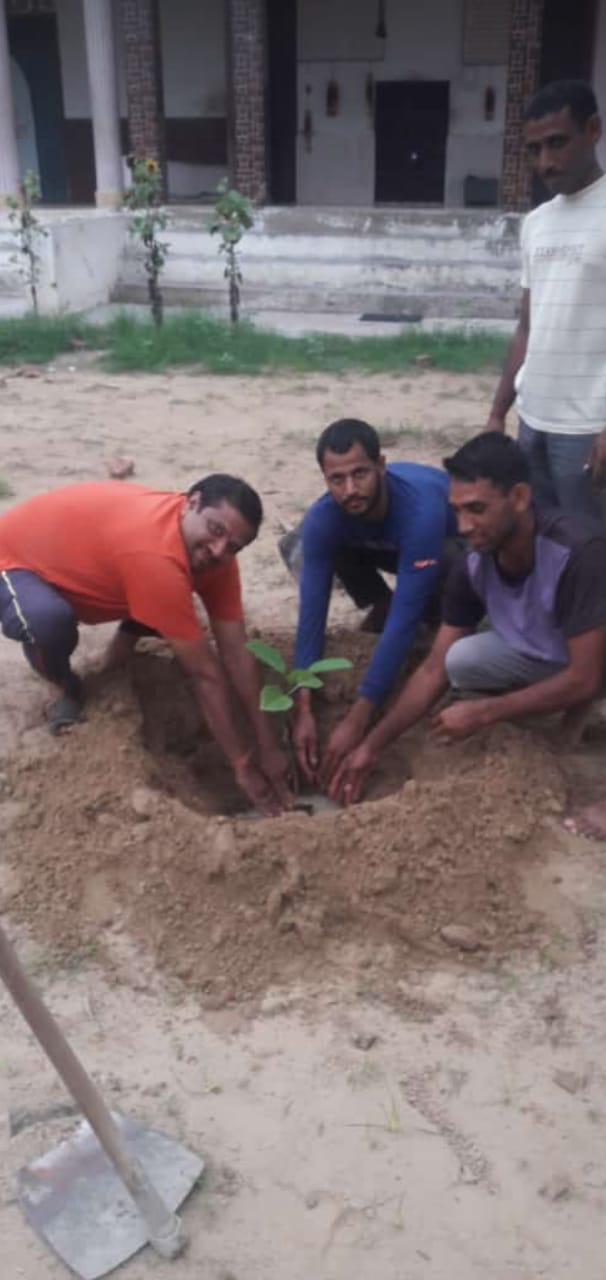 🌿 MMMF Tree Plantation Drive – 13-11-2024 🌍